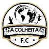 A COLHEITA