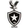 BOTAFOGO VP